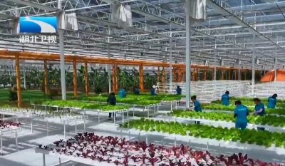 向着更高，攀登！丨在高处看见的风景