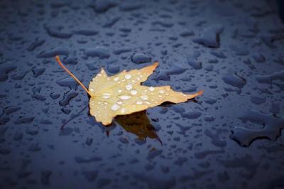 最低-4℃！8级大风！湖北将迎新一轮冷空气