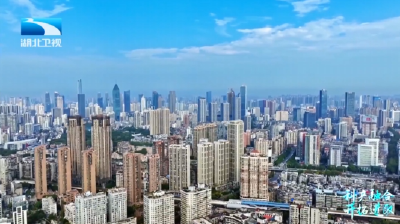 2025年11月5日湖北十分