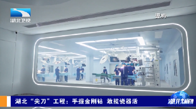湖北“尖刀”工程：手握金刚钻 敢揽瓷器活丨联影智融：研制中国人自己的高端腔镜手术机器人