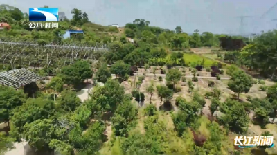 2025年11月24日长江新闻