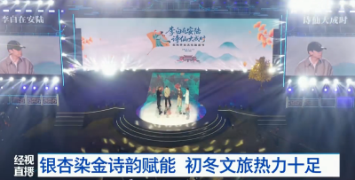 湖北安陆：银杏染金诗韵赋能 初冬文旅热力十足