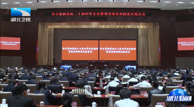学习贯彻党的二十届四中全会精神省委宣讲团首场报告会在武汉举行