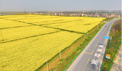 潜江“以路为笔”，书写乡村振兴新篇章