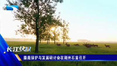 麋鹿保护与发展研讨会在荆州石首召开