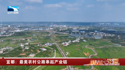 宜都：最美农村公路串起产业链