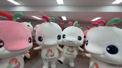 记者探访全运会顶流“大湾鸡”幕后，8公斤头套下是可爱的他们