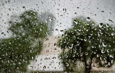 雨水上岗 湖北周末还有大风降温？