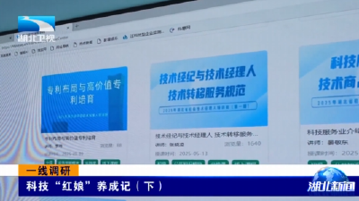 一线调研 | 科技“红娘”养成记（下）
