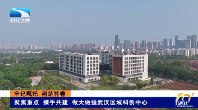 牢记嘱托 荆楚答卷 | 聚焦重点 携手共建 做大做强武汉区域科创中心