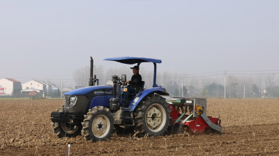 襄阳宜城：良种同台“竞技” “麦”向丰收新步伐