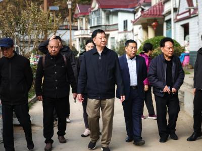 文化助力乡村振兴： 省书画家协会赴保康县黄龙观村考察调研