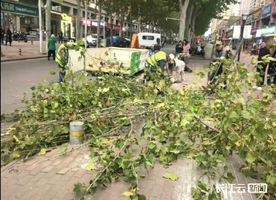 七级大风突袭 武汉洪山城管紧急联动保障出行安全
