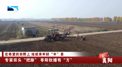 襄阳：专家田头“把脉” 枣阳秋播有“方”