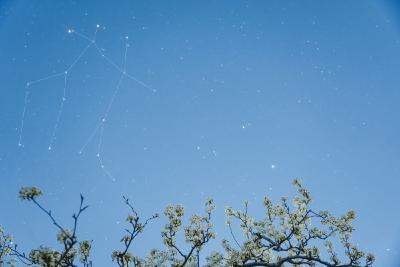 “双星伴月”10日晚天宇现“笑脸”