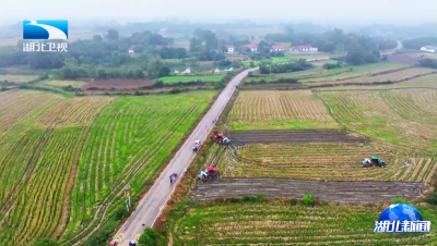 2025年11月12日湖北新闻