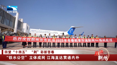 荆州：“铁水公空”立体成网 江海直达贯通内外