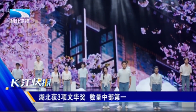 湖北获3项文华奖 数量中部第一