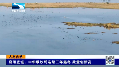 2025年11月22日长江新闻