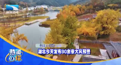 湖北今天发布90余条大风预警