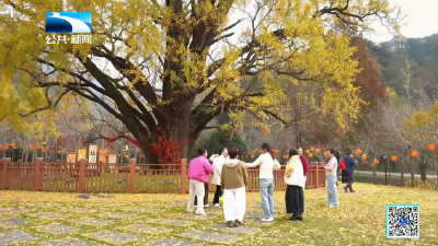 2025年11月14日长江新闻