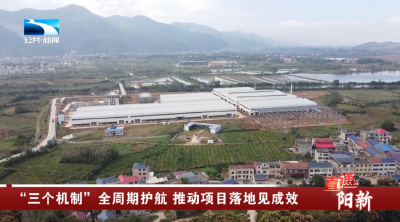 阳新：“三个机制”全周期护航 推动项目落地见成效