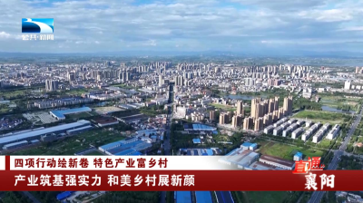 襄阳：产业筑基强实力 和美乡村展新颜