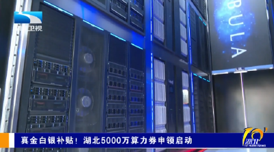 真金白银补贴！湖北5000万算力券申领启动