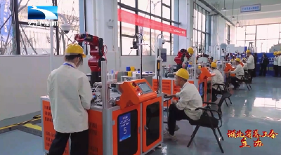 2025年“湖北工匠杯”技能大赛丨第八届全省智能制造应用技术技能大赛举行