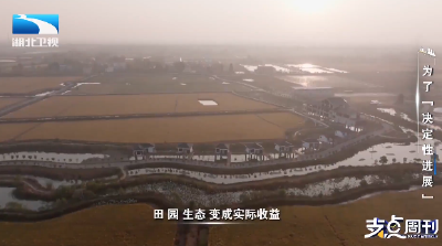 支点人物 | 陈曦：为了下一季的丰收