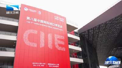 张文彤率湖北代表团赴上海参加第八届进博会