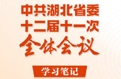 划重点丨未来五年，湖北工作重点定了