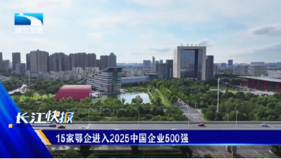 15家鄂企进入2025中国企业500强