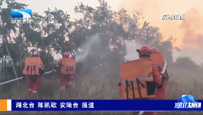 聚焦第34个全国消防日丨湖北开展立体灭火实战演练