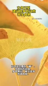 立冬已至 建议你多吃这些养生食物