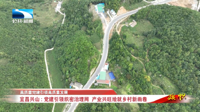 高质量党建引领高质量发展 | 宜昌兴山：党建引领织密治理网 产业兴旺绘就乡村新画卷