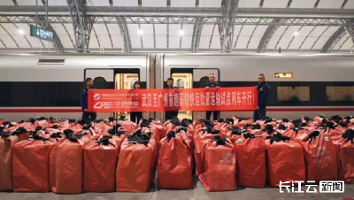 四个半小时直达！武汉与广州试点开行高铁快运列车