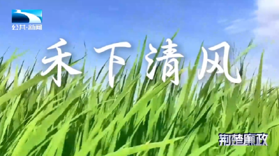 廉政微电影∣禾下清风