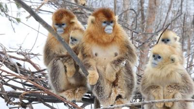  2025年11月17日长江新闻