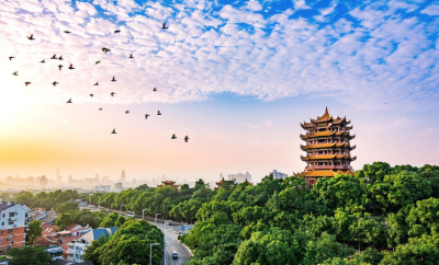 湖北人的DNA为何“善动”？