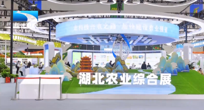 2025年11月30日湖北新闻