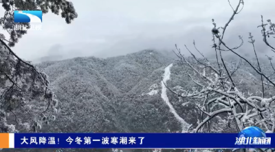 大风降温！今冬第一波寒潮来了