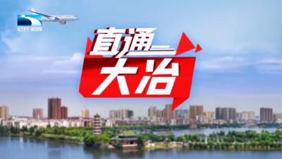 直通大冶 | 产才融合 打造县域人才集聚高地