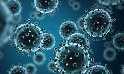 流感病毒“进化”了吗？接种疫苗还有效吗？专家解读