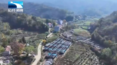 孝感孝昌：深山里的小菌菇 开出致富大“蘑”力