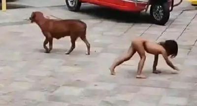 云南通报“赤裸小孩”调查情况