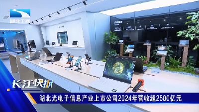 湖北光电子信息产业上市公司2024年营收超2500亿元