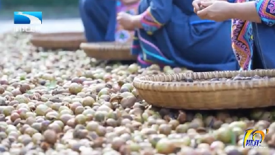 秋冬时节添“丰”景  特色农产品抢“鲜”登场