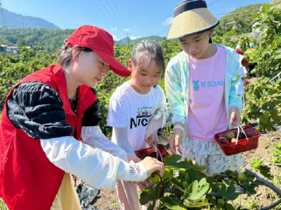 “向日葵”志愿服务队：用陪伴点亮童年
