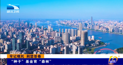 牢记嘱托 荆楚答卷 | “种子”基金育“森林”